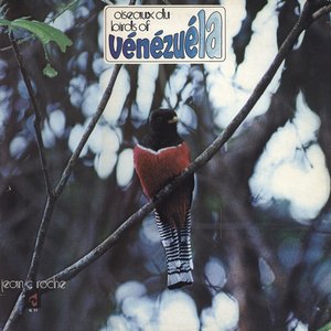 Oiseaux Du - Birds Of Vénézuéla