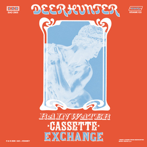 Album artwork for Rainwater Cassette Exchange by Deerhunter