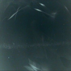 You Dont Fucking Know Me - EP