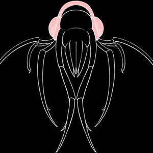 Dustmite 的头像