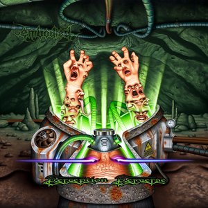 Perception Perverse