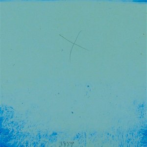 Thoughts Or Feelings?