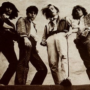 The Shamrocks 的头像