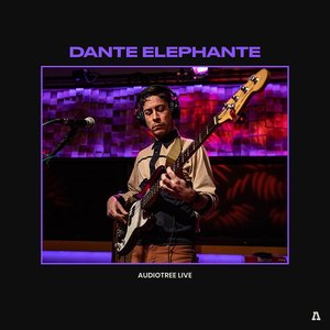 Dante Elephante on Audiotree Live