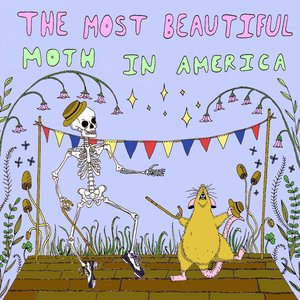 The Most Beautiful Moth in America