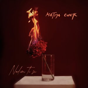 Nudim ti se - Single