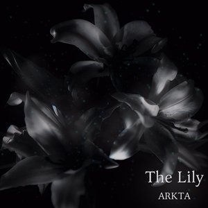 The Lily