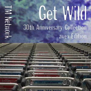 GET WILD 30th Anniversary Collection (avex Edition)