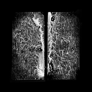 0002-21