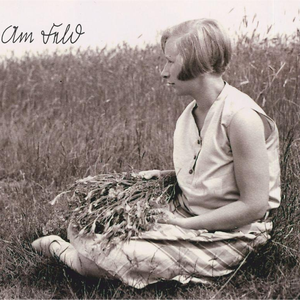 Am Feld cover