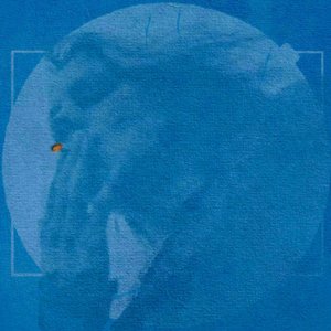 I Wake Up Slowly - Single