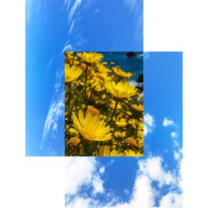 Look Forward - Single
