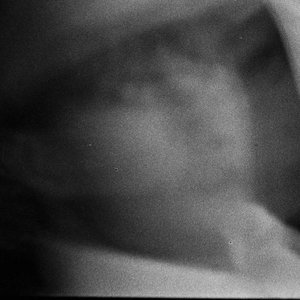 Lubin Prior 的头像