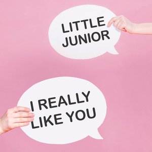 I Really Like You