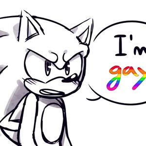Image for 'SONIC IS GAY'