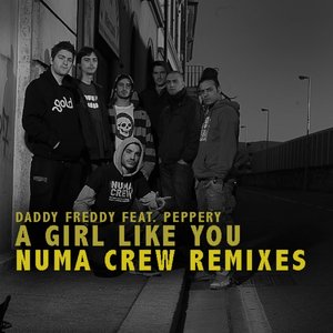 A Girl Like You (feat. Pepperry) [Numa Crew Remix]