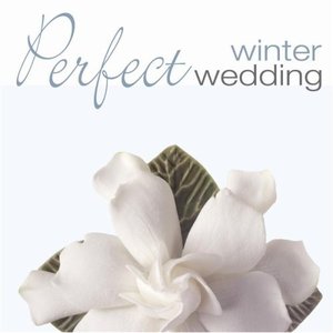 Bild för 'Perfect Winter Wedding'