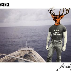 Tangence 的头像