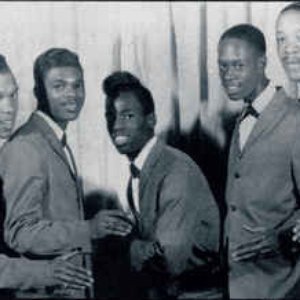 The Best of the Volumes Doo Wop