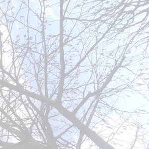 fragmentary blue 的头像