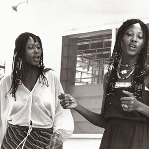 The Lijadu Sisters 的头像