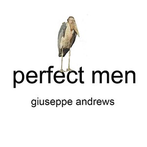Perfect Men