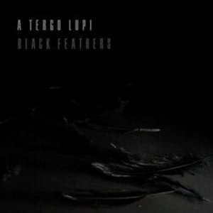 Black Feathers - Single