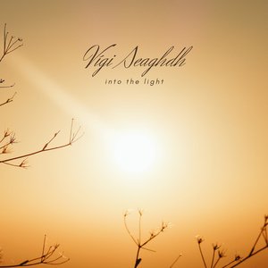 Vígi Seaghdh 的头像