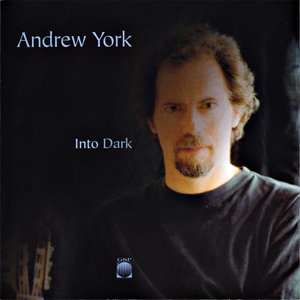 “Into Dark”的封面