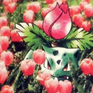 SoulSearchAndDestroy 的头像