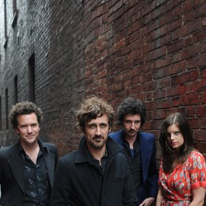 Avatar for The Drones