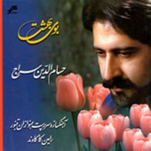 Hesam Seraj 的头像