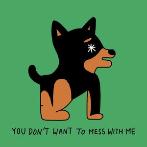 You Don't Want To Mess With Me - Single