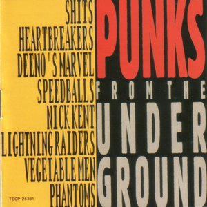 Punks From the Underground