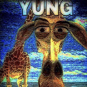 Yung Sherman 的头像