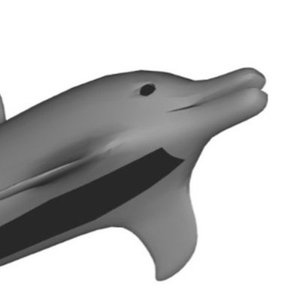 Dolphin Machine 的头像