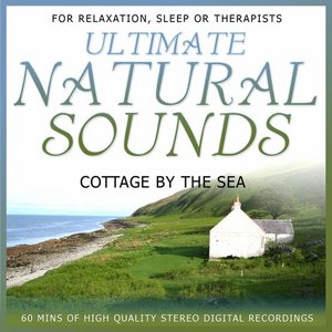 Cottage by the Sea