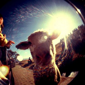 Avatar for Sunnesther