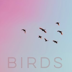 Birds - Single