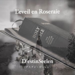 D'estinSeelen - Single
