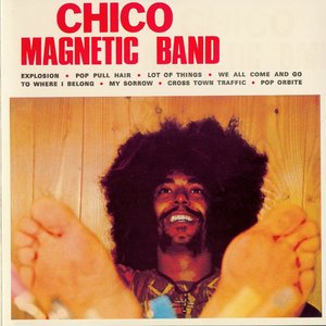 Chico Magnetic Band