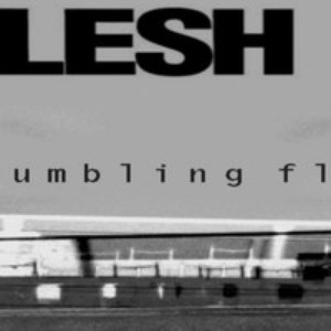 Crumbled Flesh