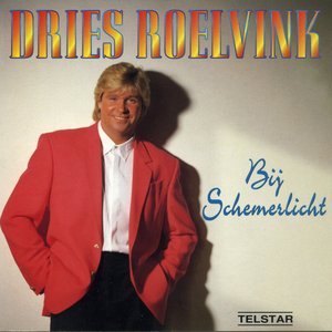 Bij Schemerlicht