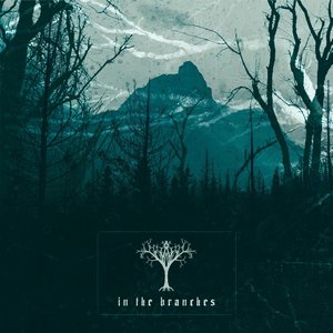 In The Branches