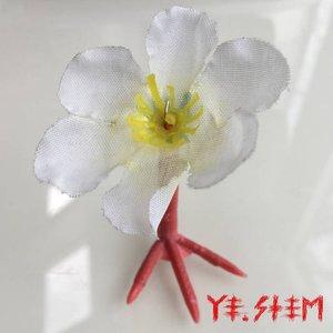 Avatar for Ye.stem