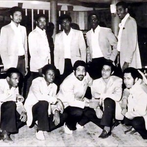 les shleu-shleu 的头像