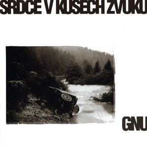 Srdce v kusech zvuku