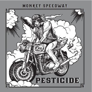 Monkey Speedway