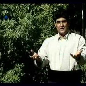 Hossein Safamanesh 的头像