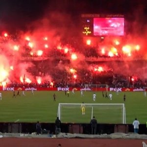 Ultras White Knights 的头像